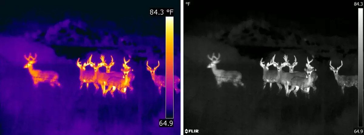 Jaký je rozdíl mezi nočním viděním a FLIR?